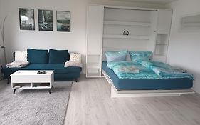 Apartment mit Rheinblick
